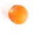 Egg Yolk