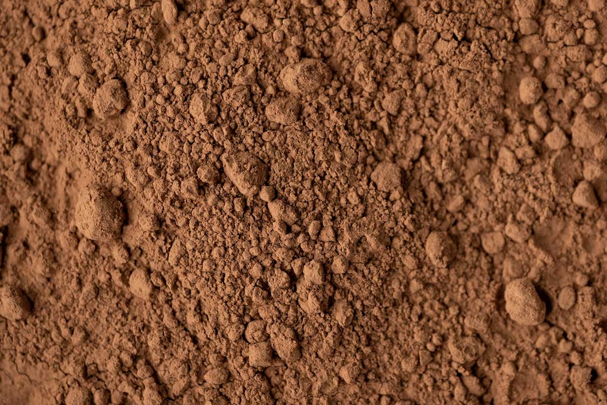 Light cocoa Powder