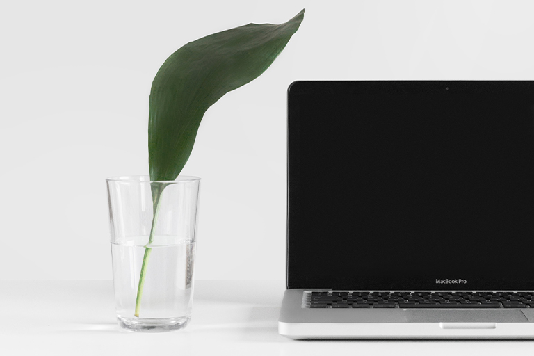 On the left side of the MacBook Pro, there is a leaf in a cup.