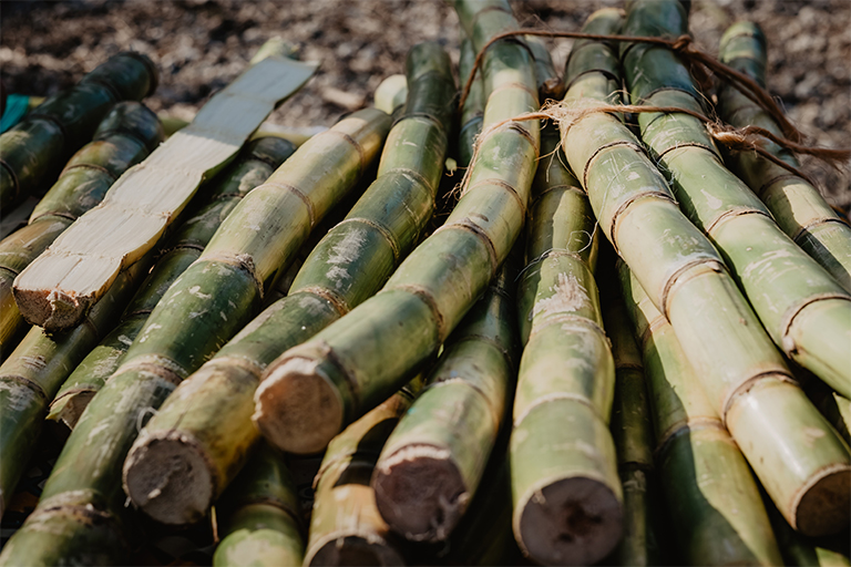 Stacks of sugar canes on top of one another.