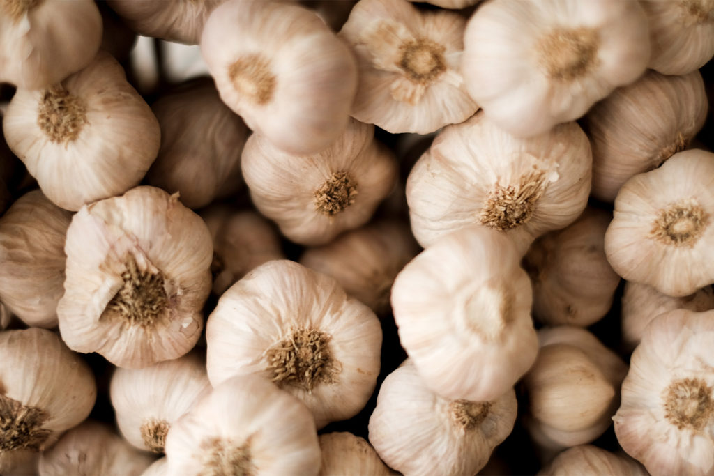 Several whole heads of garlics.