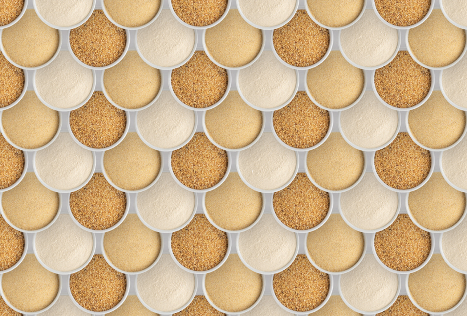 Dehydrated Garlic Everything You Need to Know