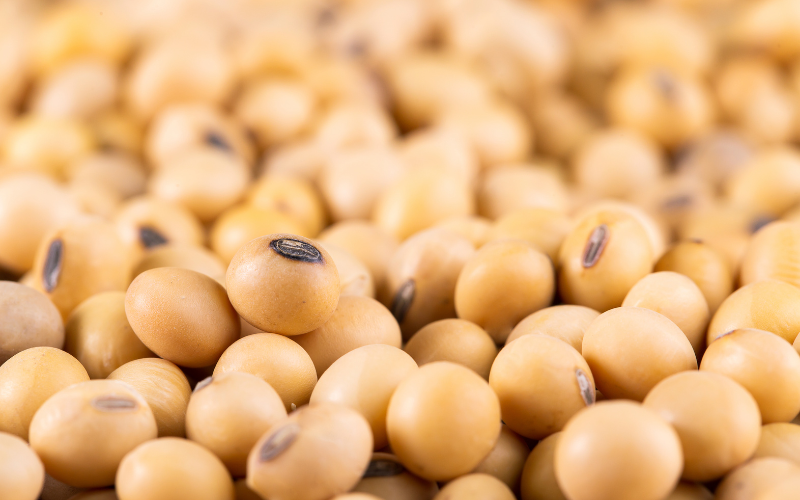 Top Ingredient_ Soybeans