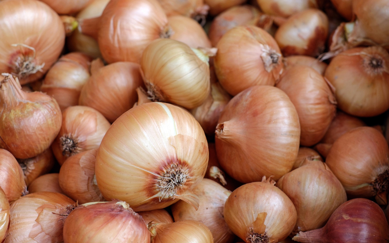 Bountiful Onions