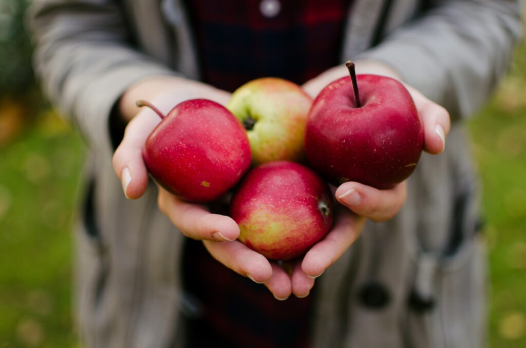 Holding October apples.