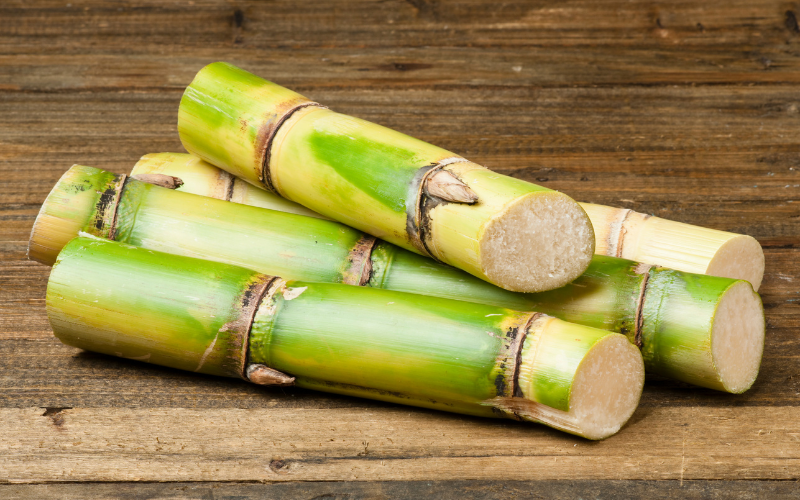 cane sugar plant on a wooden surface