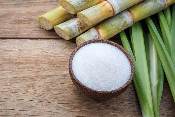 Cane sugar in a bowl and the respective sugarcane plant.