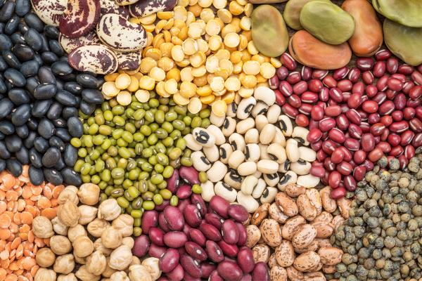 an assortment of beans collected for eat beans day